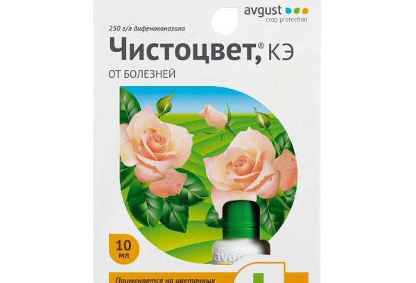 Чистоцвет 10мл Август